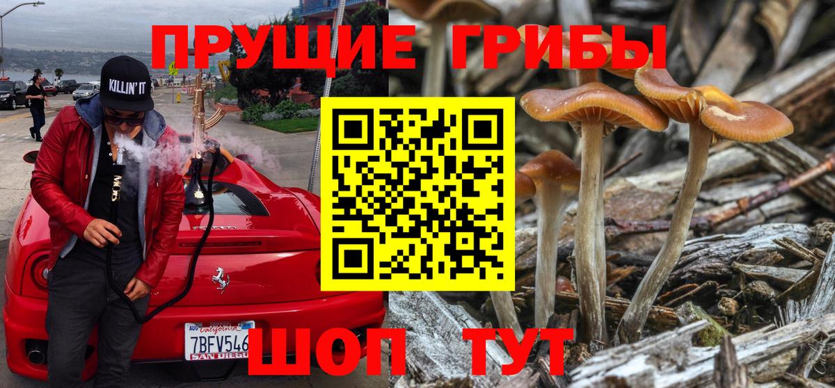 Галлюциногенные грибы ЛСД Белореченск